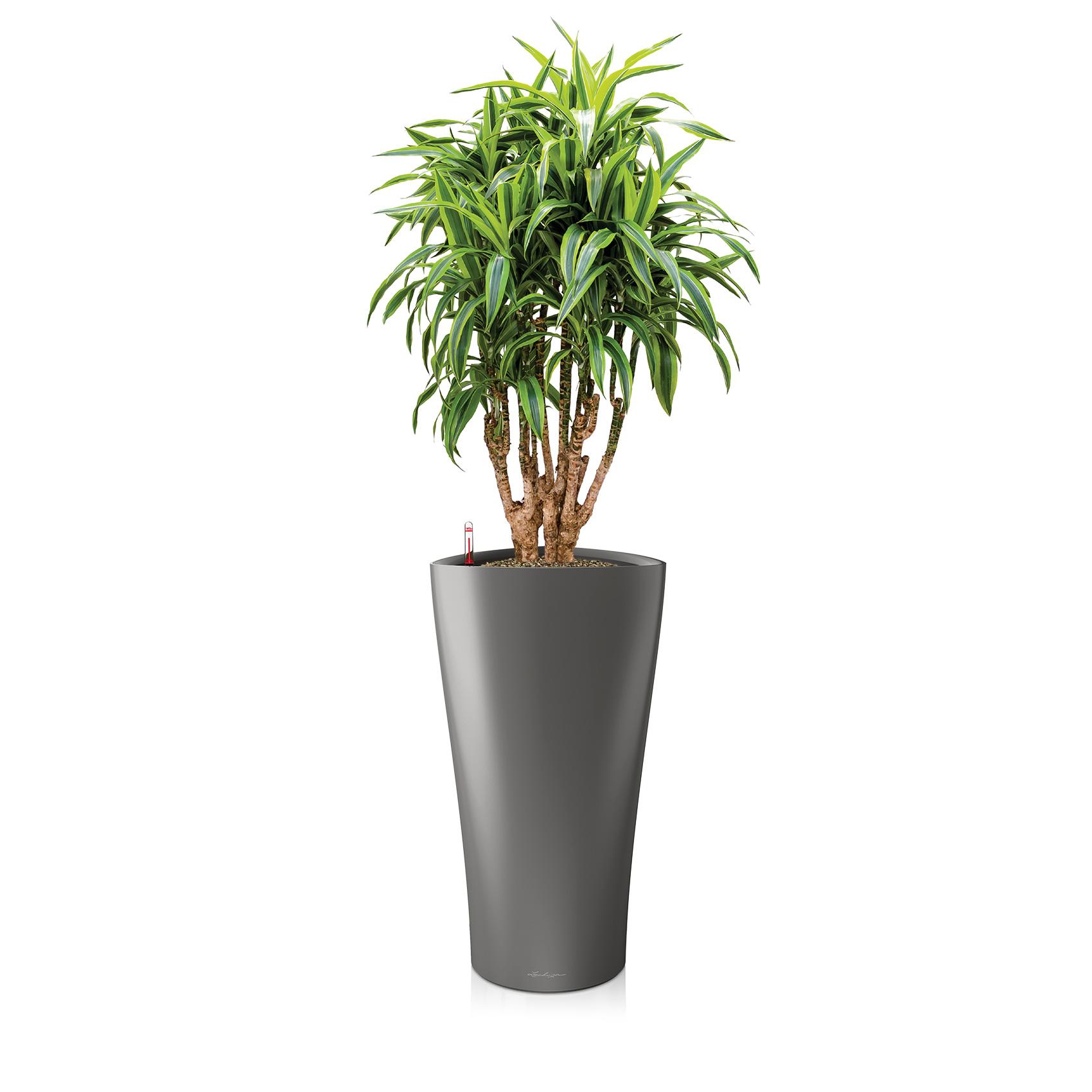 DELTA 30 charcoal metallic